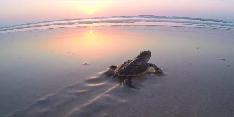 人生就是搏·(中国区)官方网站