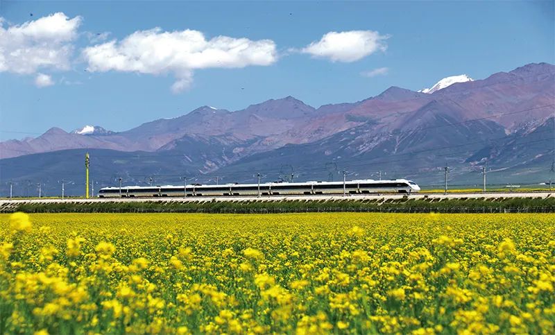 张玉卓、国资、央企、国资委、书记、主任、国企、企业刷新